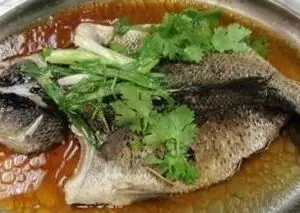 Steamed Seabass/Garoupa  HK Style