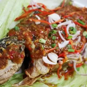 Fried Seabass/Garoupa Tiga Rasa **Signature Dish