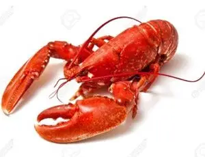Lobster in your Favourite Sauce